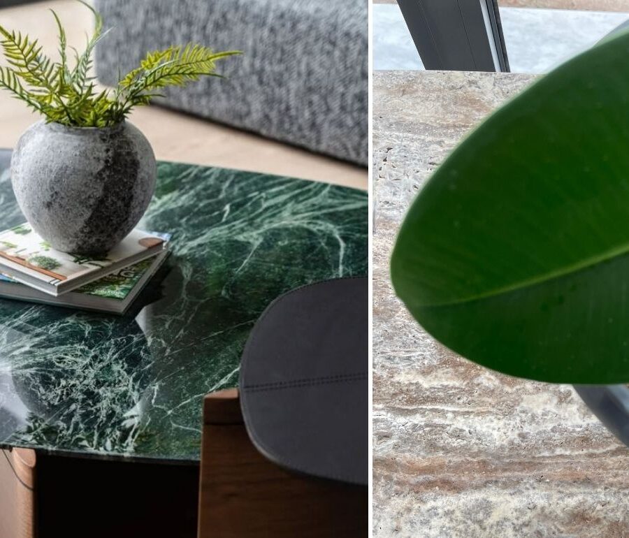 10 Ways to Decorate with Air Plants - Efesus Home