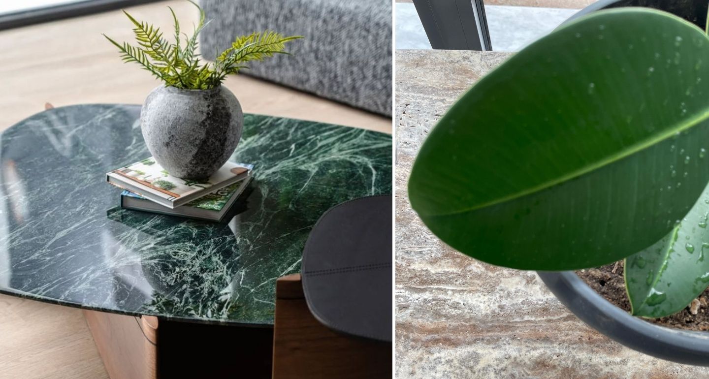 10 Ways to Decorate with Air Plants - Efesus Home