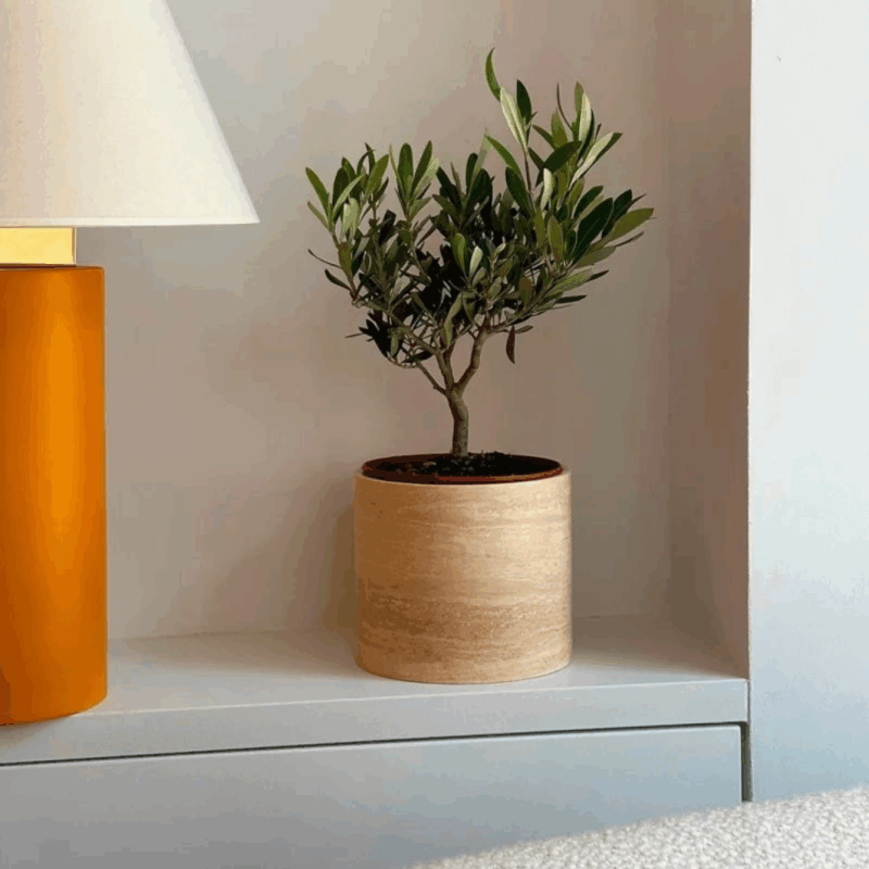 flowerpot2 - efesus home