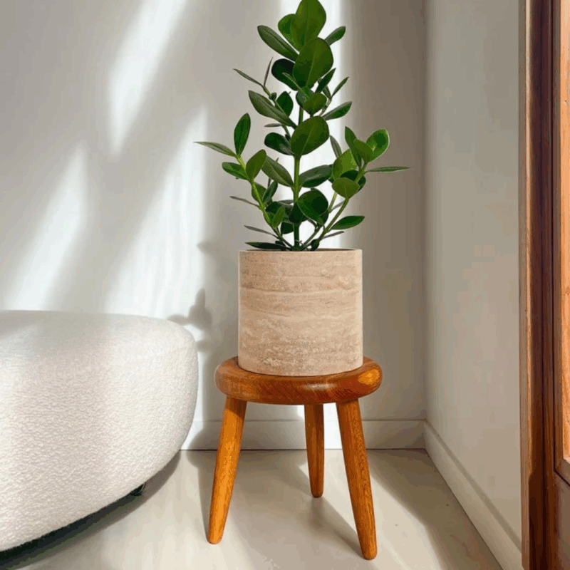 flowerpot3 - efesus home